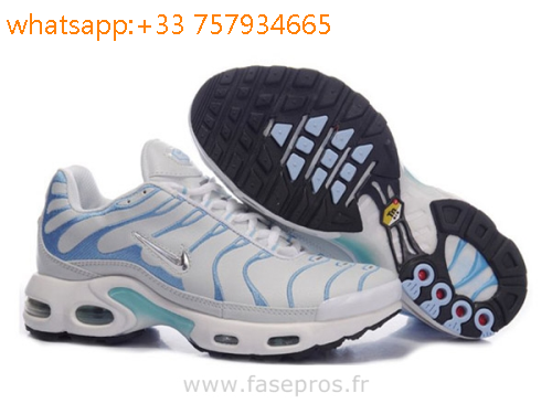 tn bleu requin