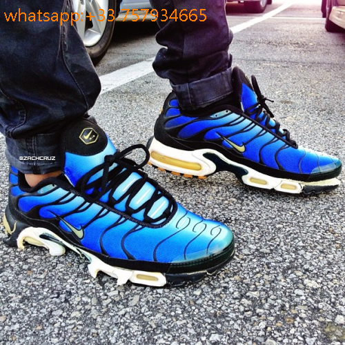 tn requin bleu